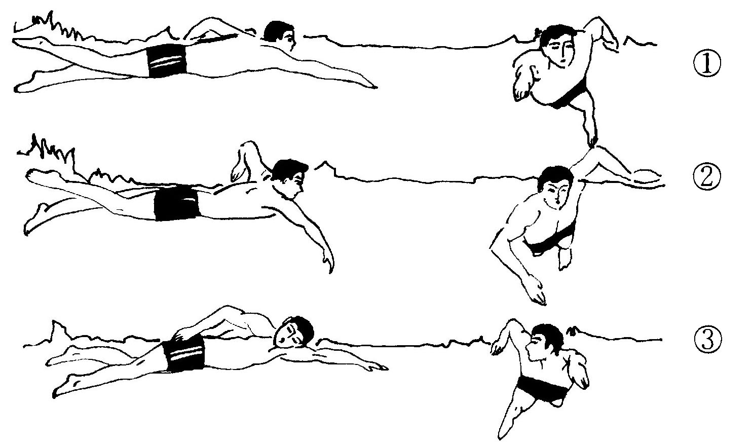 自由泳手与腿配合口诀图片
